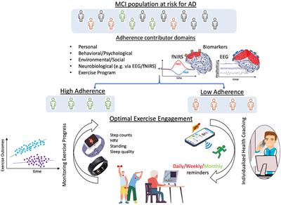 Adherence to cognitive and physical exercise engagement: a challenge to successful dementia risk reduction and prevention efforts